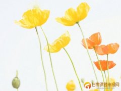 中小学教师课题选题来源有哪些