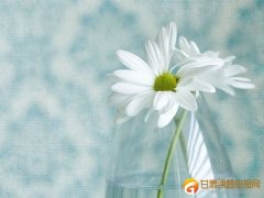 教师如何申报青年课题