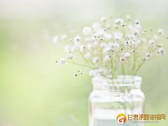 幼儿园课题研究的流程是什么