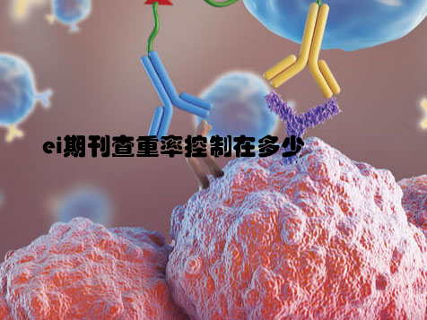 ei期刊查重率控制在多少