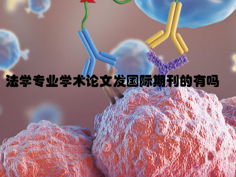 法学专业学术论文发国际期刊的有吗