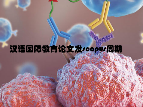 汉语国际教育论文发scopus周期