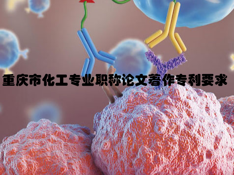 重庆市化工专业职称论文著作专利要求