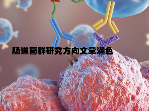 肠道菌群研究方向文章润色